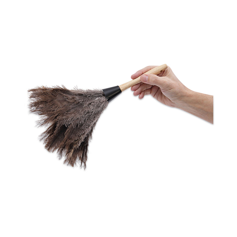 Boardwalk Professional Ostrich Feather Duster, Gray, 14" Length, 6" Handle