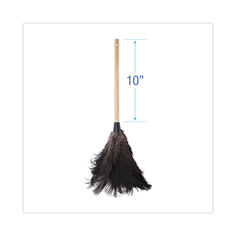 Boardwalk Professional Ostrich Feather Duster, 10" Handle