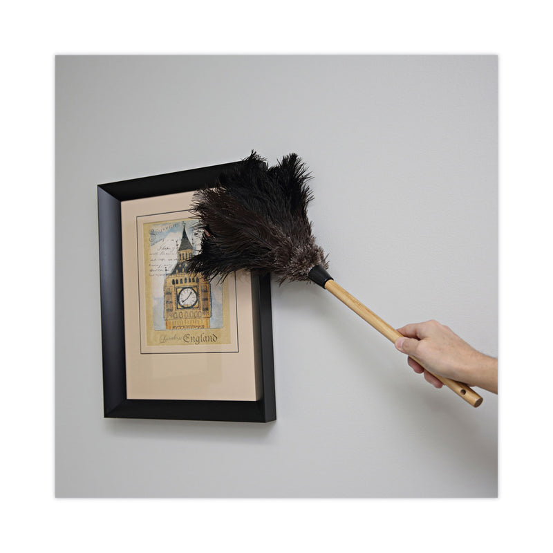 Boardwalk Professional Ostrich Feather Duster, 10" Handle