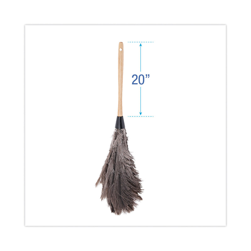 Boardwalk Professional Ostrich Feather Duster, Wood Handle, 20"