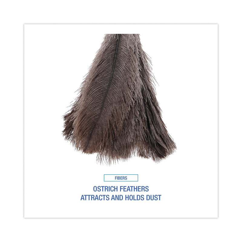 Boardwalk Professional Ostrich Feather Duster, Wood Handle, 20"