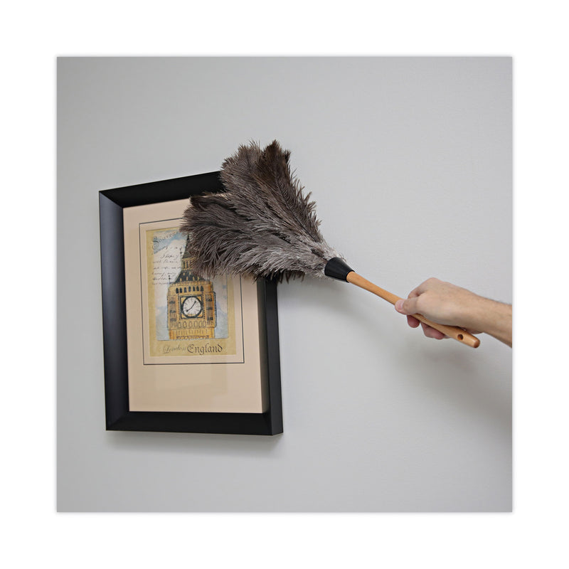 Boardwalk Professional Ostrich Feather Duster, Wood Handle, 20"
