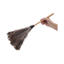 Boardwalk Professional Ostrich Feather Duster, Wood Handle, 20"