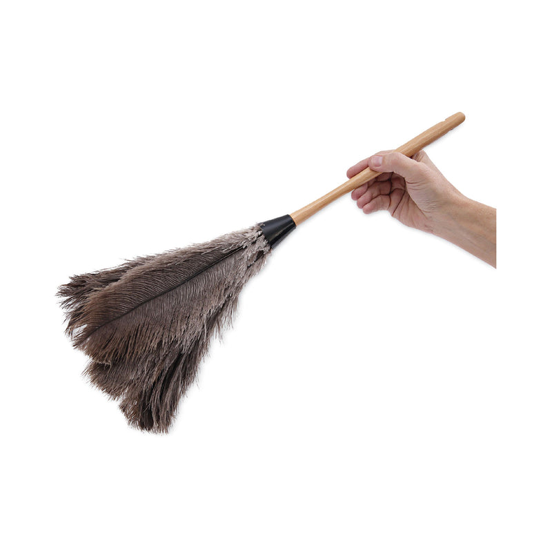 Boardwalk Professional Ostrich Feather Duster, Wood Handle, 20"