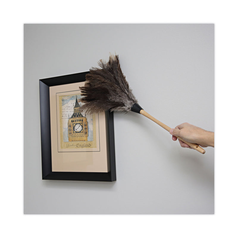 Boardwalk Professional Ostrich Feather Duster, 13" Handle
