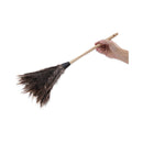 Boardwalk Professional Ostrich Feather Duster, 13" Handle