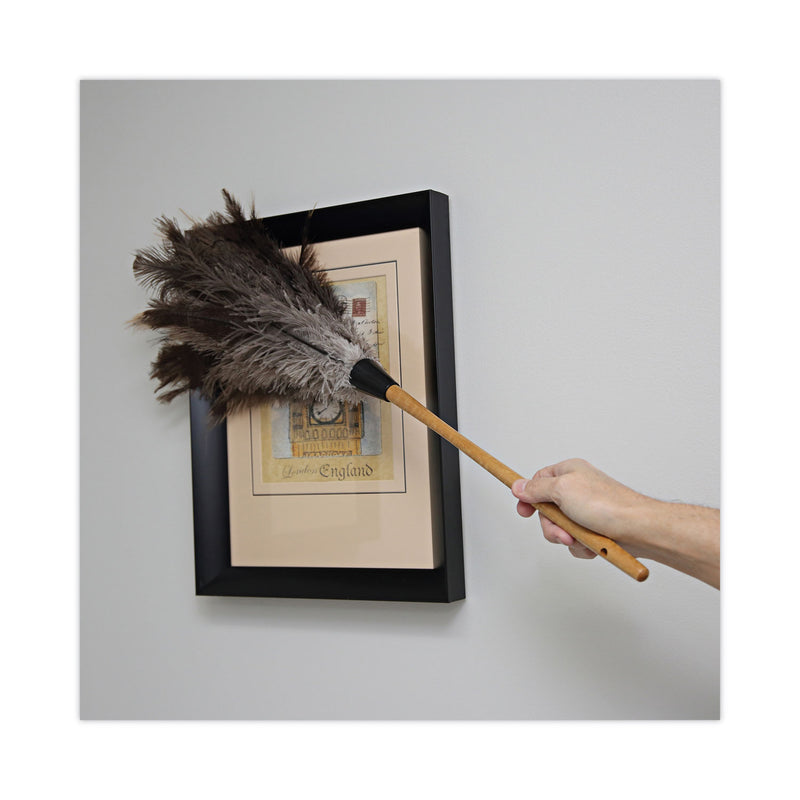 Boardwalk Professional Ostrich Feather Duster, 16" Handle