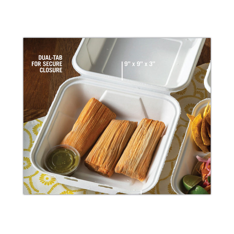Pactiv Evergreen EarthChoice Bagasse Hinged Lid Container, Dual Tab Lock Large Container, 9 x 9 x 3.5, Natural, Sugarcane, 150/Carton