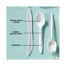 Pactiv Evergreen Fieldware Cutlery, Spoon, Mediumweight, White, 1,000/Carton