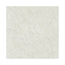 Boardwalk Natural Burnishing Floor Pads, 20" Diameter, White, 5/Carton