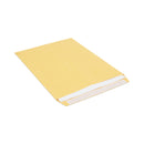 Universal Peel Seal Strip Catalog Envelope,