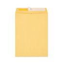 Universal Peel Seal Strip Catalog Envelope,