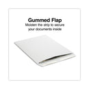 Universal Peel Seal Strip Catalog Envelope,