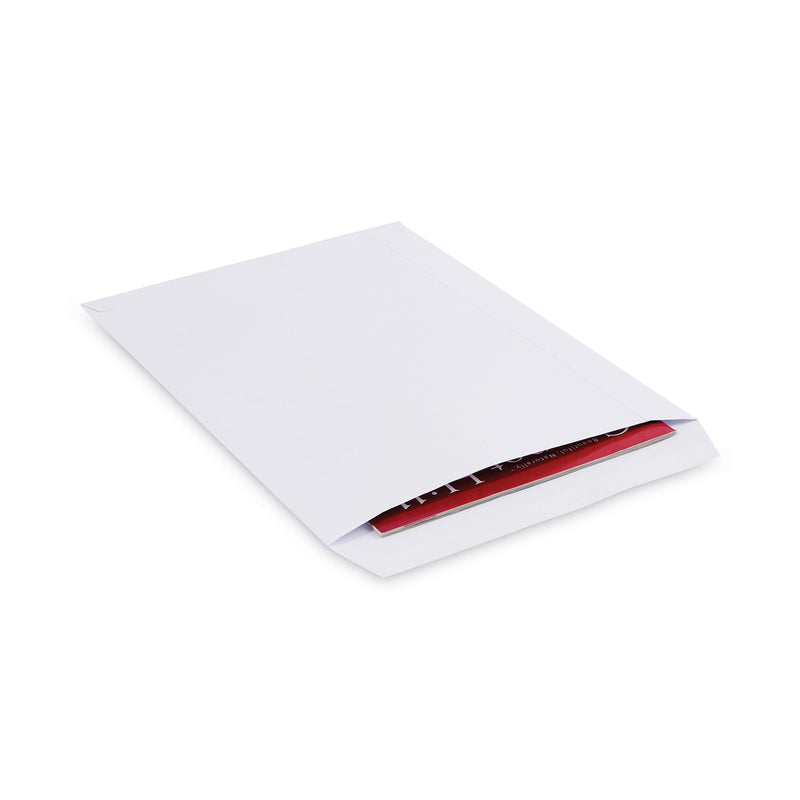 Universal Peel Seal Strip Catalog Envelope,