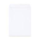 Universal Peel Seal Strip Catalog Envelope,