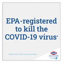 Clorox Bleach Germicidal Cleaner, 32 oz Spray Bottle