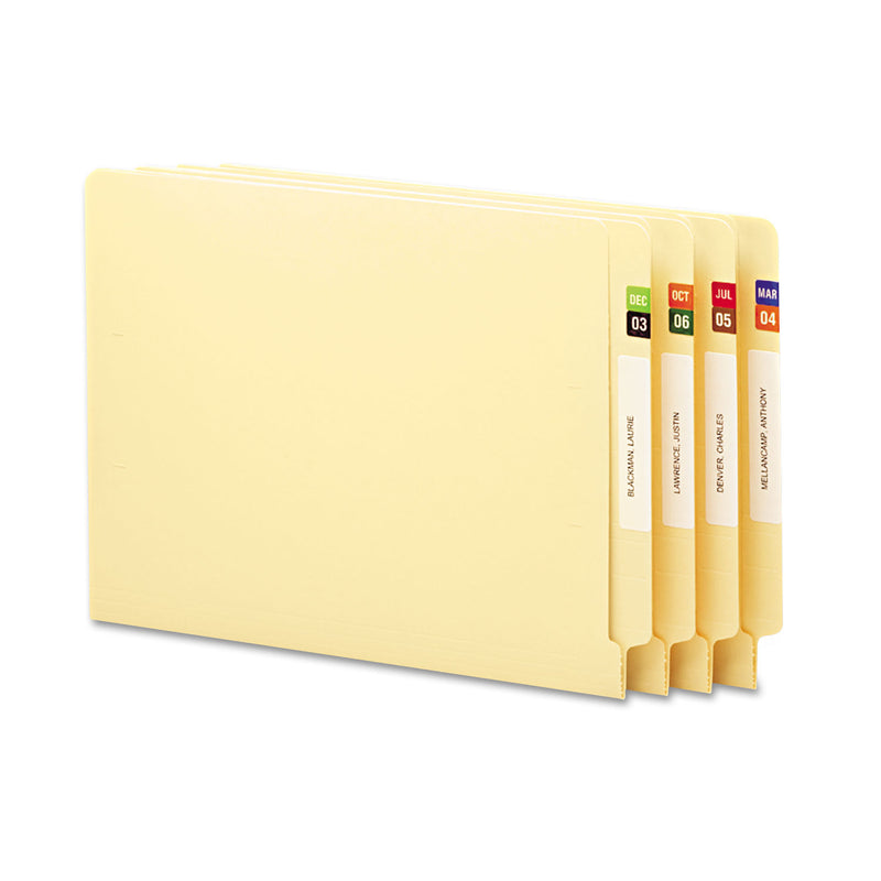 File Tab Monthly Monthly End Tab File Folder Labels, JAN-DEC, 0.5 x 1, Assorted, 25 ...